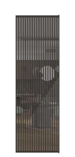 Дверь межкомнатная АЛПЛ040.06 ААН Алюминий антрацит Stopsol Clear прозрачное. Цвет Алюминий антрацит. Материал Алюминий в эмали. Коллекция Formato. Картинка.